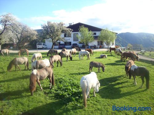 Ferienwohnung in Feldkirchen in Kärnten. 40m2!