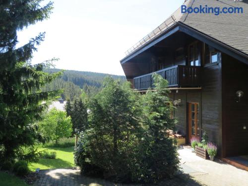 One bedroom apartment in Feldberg. 40m2!