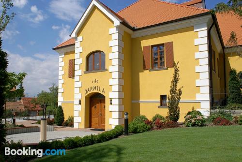 Appartement avec piscine. Velké Bílovice est votre!