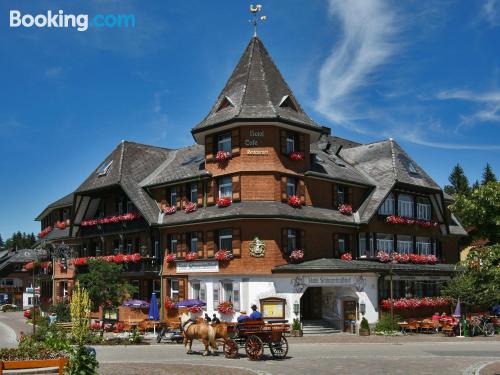 Appartement avec terrasse. Hinterzarten est votre