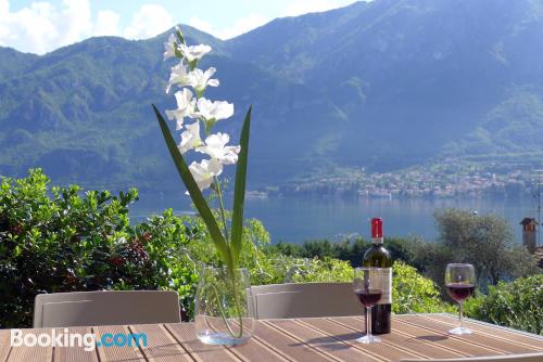 Animals allowed apartment in Oliveto Lario with terrace