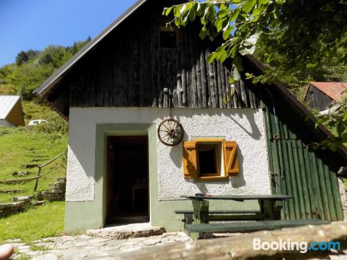 Studio adapté pour les chiens à Tolmin