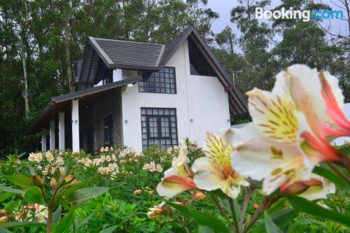 Apartamento em Nuwara Eliya, perfeito para grupos