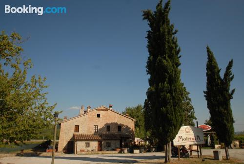 Monolocale, a Città di Castello