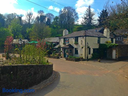 Apartment in Totnes with terrace