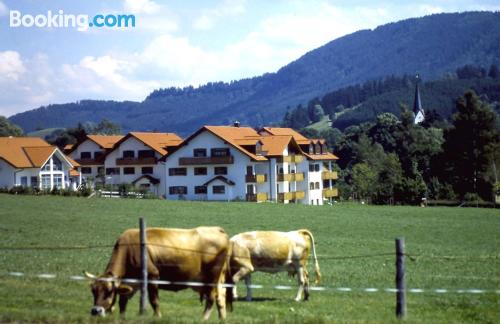 Ferienwohnung mit Internet. In Weitnau