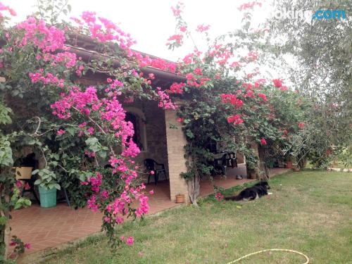 Apartamento adequado para cães à Girasole. Terraço!