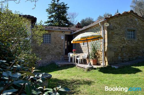 Apartment in Cortona. Pet friendly!