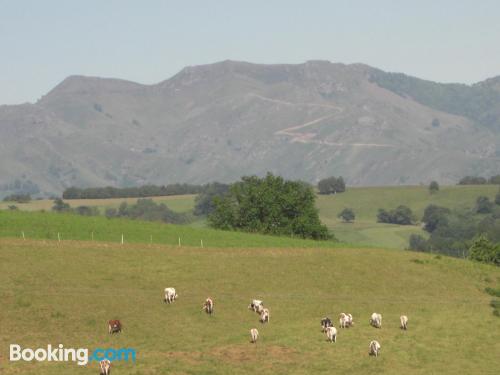 Apartamento bien situado apto para mascotas ¡Con vistas!