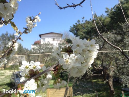 Apartamento con terraza y internet en Chieti. ¡Acogedor!