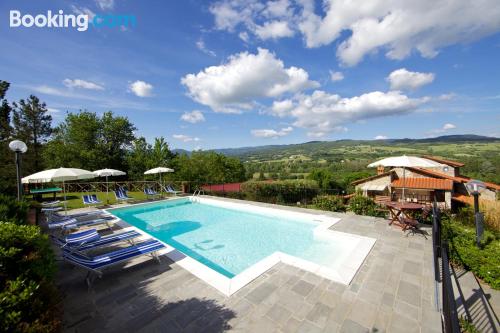 Apartment with internet. Enjoy your swimming pool in Borgo alla Collina!