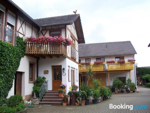One bedroom apartment in Schwanau with wifi