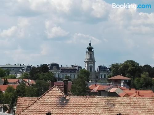 Ferienwohnung mit Terrasse. In Keszthely