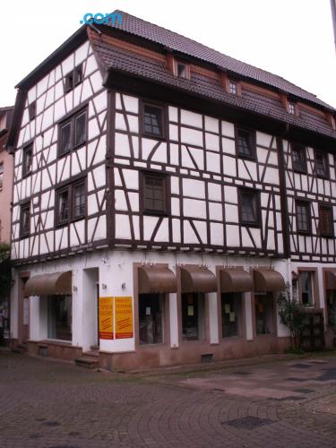 Ample appartement à Eberbach