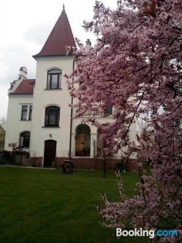 Appartement avec terrasse et Wifi à Bechyně. 50m2!