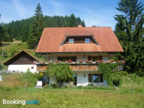 Apartamento con wifi en Feldberg