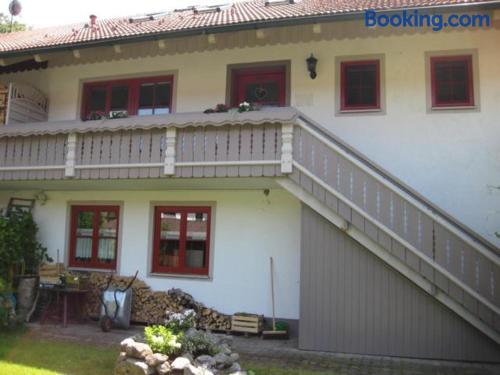 45m2 apartment in Weitnau with terrace