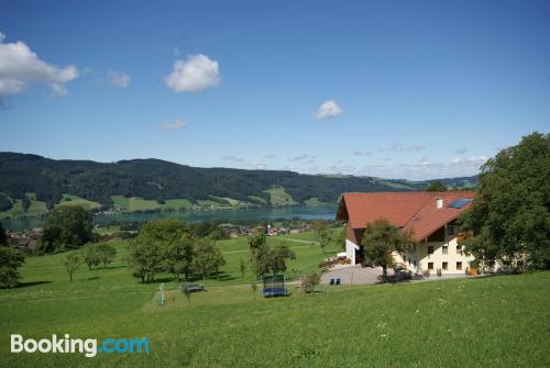 Spazioso appartamento a Zell am Moos. Terrazza e Internet