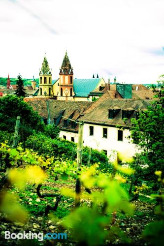 Ferienwohnung mit Terrasse. In Würzburg