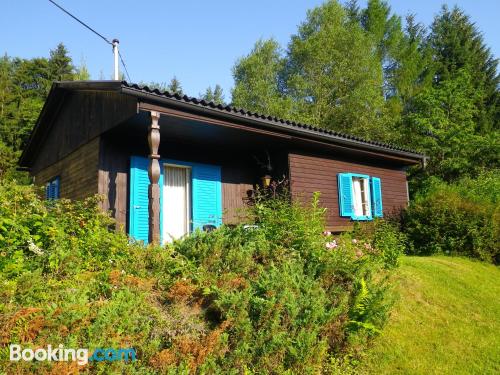 Appartement met kinderbed. Huisdieren toegestaan