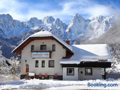 Apt mit Terrasse und w-lan. In Kranjska Gora