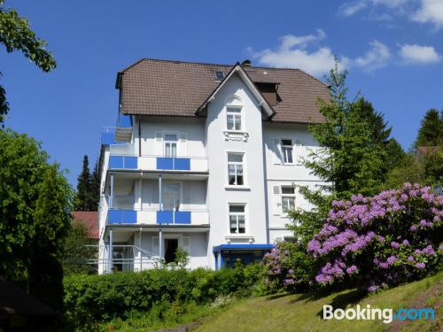 Appartement avec terrasse dans la meilleure position de Bad Herrenalb