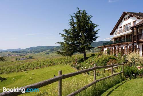 Estudio cuco en Ribeauville