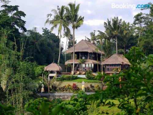 Appartement avec piscine et terrasse. Ubud est votre