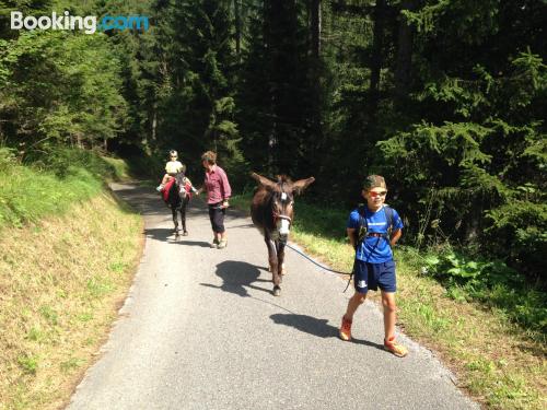 Apartment with internet. Pieve Di Cadore from your window!