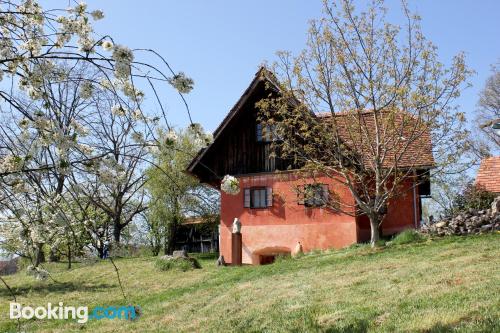 Appartamento con terrazza, a Ratsch an der Weinstraße.