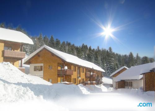 Zentrale Wohnung. Tierfreundlich