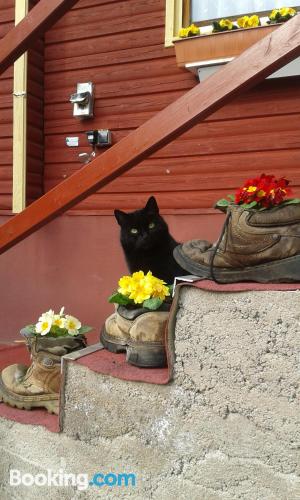 Apt mit Terrasse. Tierfreundlich