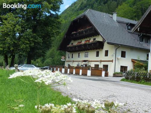 Geschikt voor honden appartement. Faistenau vanuit uw raam!