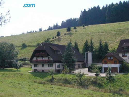 Apartamento de 2 quartos em Sankt Georgen im Schwarzwald. Terraço!