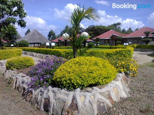 Place for couples in Nakuru with pool and terrace