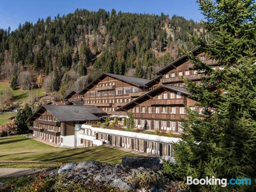 Appartement avec terrasse et Internet à Gstaad. Adapté pour les chiens!