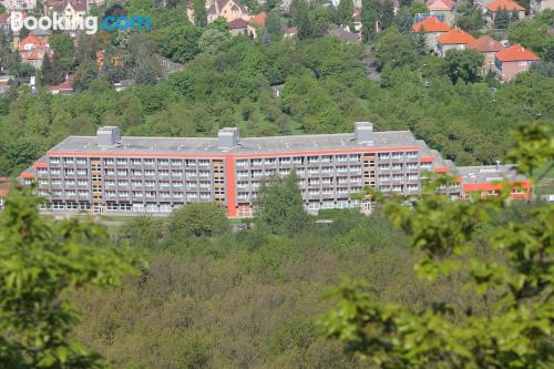 Breed appartement. Teplice aan zijn voeten!