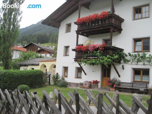 Appartement de 1 pièce animaux acceptés. À Telfes im stubai