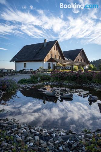 2-Zimmer-Appartement. Tierfreundlich