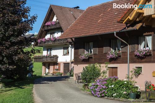 Ferienwohnung in der Innenstadt. In Oberharmersbach