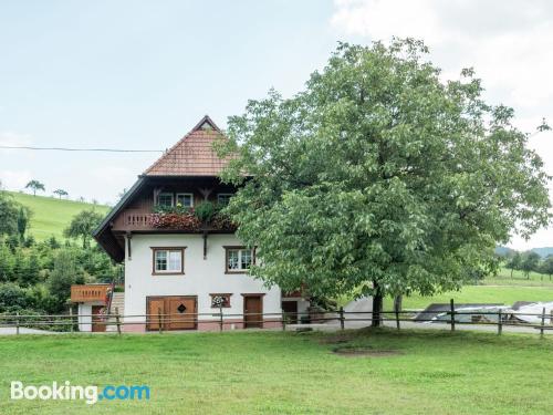 Confortable appartement à Oberharmersbach. Terrasse!