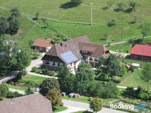 Confortable appartement à Bad Rippoldsau-Schapbach. Idéal!