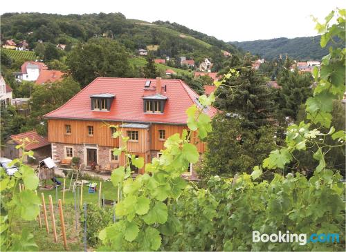 Zentrale Ferienwohnung. In Meißen