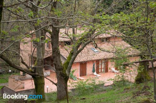 Apartamento de 40m2 en Arcidosso con terraza y conexión a internet