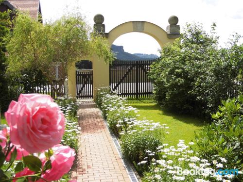 Appartement d'une pièce. À Bad Schandau