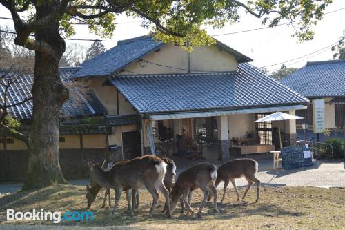 Nara ai vostri piedi! Wifi!