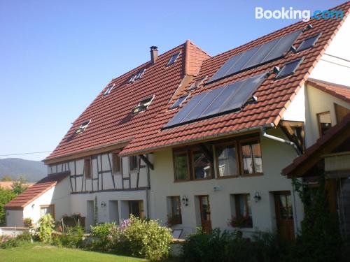 Terrace and internet apartment in Berrwiller with heat