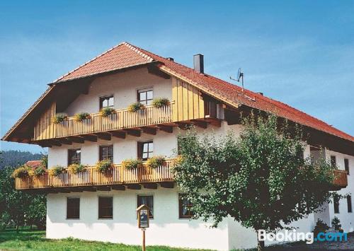 Espaçoso apartamento em boa posição em Blaibach