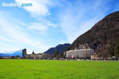 1 bedroom apartment in Interlaken with terrace and wifi