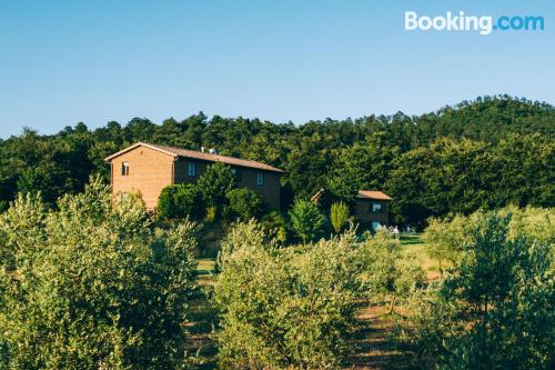 Apartamento adequado para cães à Bolsena, ideal para 2 pessoas